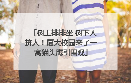树上排排坐 树下人挤人！厦大校园来了一窝猫头鹰引围观
