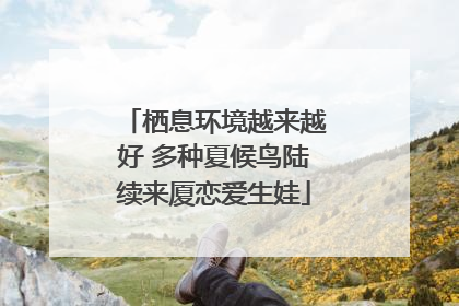 栖息环境越来越好 多种夏候鸟陆续来厦恋爱生娃