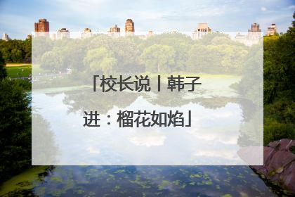 校长说丨韩子进：榴花如焰