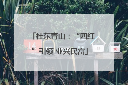 桂东青山：“四红”引领 业兴民富