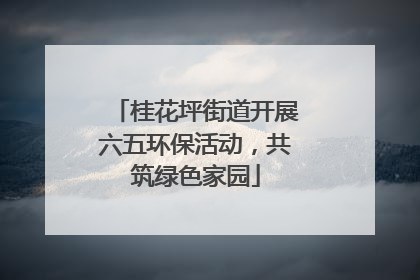 桂花坪街道开展六五环保活动，共筑绿色家园