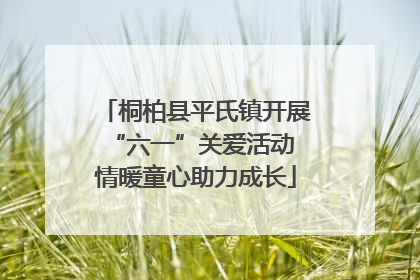 桐柏县平氏镇开展“六一”关爱活动 情暖童心助力成长