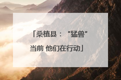 桑植县：“猛兽”当前 他们在行动