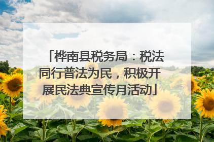 桦南县税务局：税法同行普法为民，积极开展民法典宣传月活动