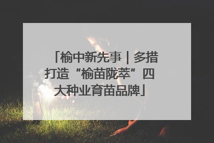 榆中新先事｜多措打造“榆苗陇萃”四大种业育苗品牌