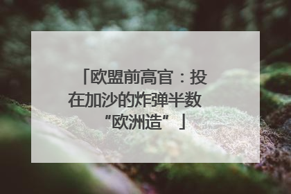 欧盟前高官：投在加沙的炸弹半数“欧洲造”