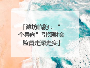 潍坊临朐：“三个导向”引领财会监督走深走实