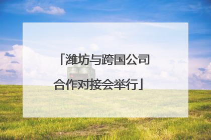潍坊与跨国公司合作对接会举行