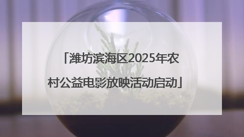 潍坊滨海区2025年农村公益电影放映活动启动