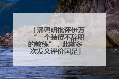 潘粤明批评伊万“一个装傻不辞职的教练”，此前多次发文评价国足