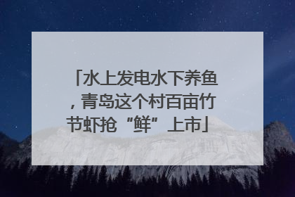 水上发电水下养鱼，青岛这个村百亩竹节虾抢“鲜”上市