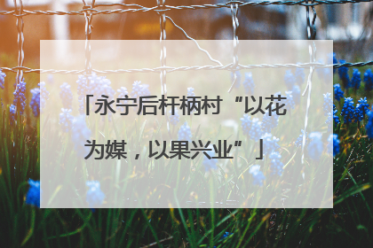 永宁后杆柄村“以花为媒，以果兴业”