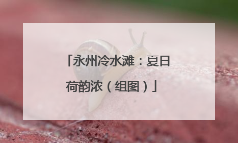 永州冷水滩：夏日荷韵浓（组图）