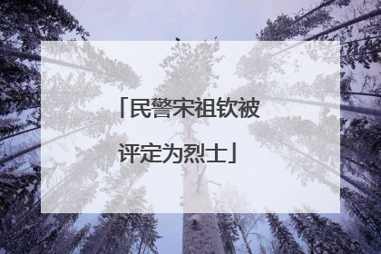 民警宋祖钦被评定为烈士