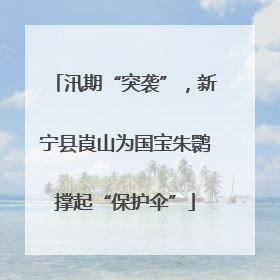 汛期“突袭”，新宁县崀山为国宝朱鹮撑起“保护伞”