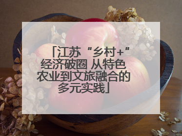 江苏“乡村+”经济破圈 从特色农业到文旅融合的多元实践