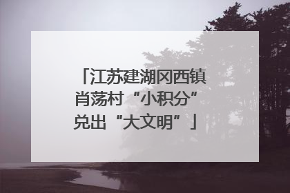 江苏建湖冈西镇肖荡村“小积分”兑出“大文明”