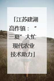 江苏建湖高作镇：“三夏”大忙 现代农业技术助力