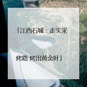 江西石城：走实采烤路 烤出黄金叶