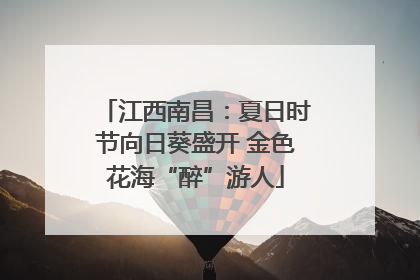 江西南昌：夏日时节向日葵盛开 金色花海“醉”游人