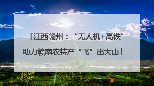 江西赣州：“无人机+高铁”助力赣南农特产“飞”出大山