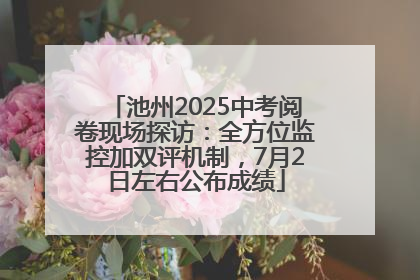 池州2025中考阅卷现场探访：全方位监控加双评机制，7月2日左右公布成绩
