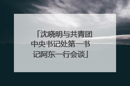 沈晓明与共青团中央书记处第一书记阿东一行会谈