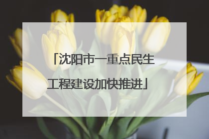 沈阳市一重点民生工程建设加快推进