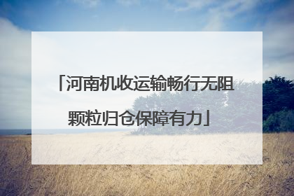河南机收运输畅行无阻 颗粒归仓保障有力
