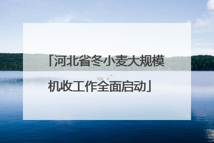 河北省冬小麦大规模机收工作全面启动