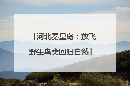 河北秦皇岛：放飞野生鸟类回归自然