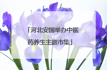 河北安国举办中医药养生主题市集