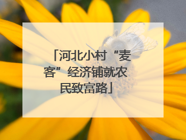 河北小村“麦客”经济铺就农民致富路