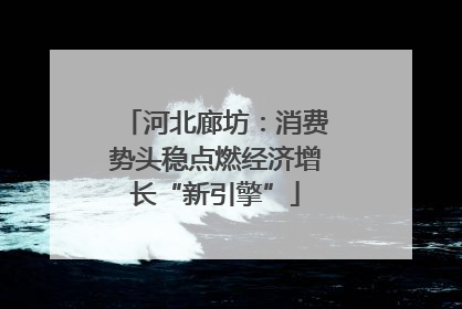 河北廊坊：消费势头稳点燃经济增长“新引擎”