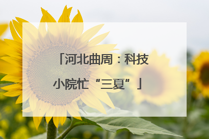 河北曲周：科技小院忙“三夏”