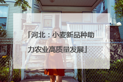 河北：小麦新品种助力农业高质量发展