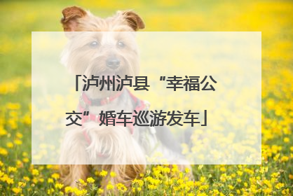 泸州泸县“幸福公交”婚车巡游发车