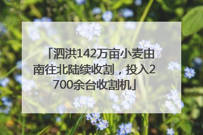 泗洪142万亩小麦由南往北陆续收割，投入2700余台收割机