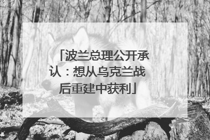 波兰总理公开承认：想从乌克兰战后重建中获利