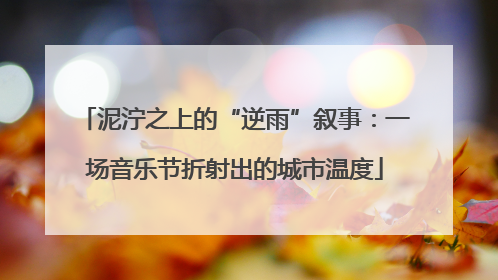 泥泞之上的“逆雨”叙事：一场音乐节折射出的城市温度