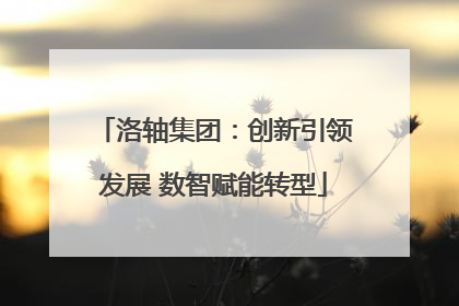 洛轴集团：创新引领发展 数智赋能转型