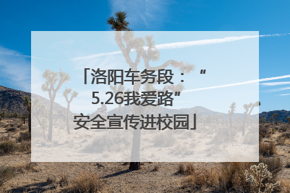 洛阳车务段：“5.26我爱路”安全宣传进校园