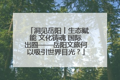 洞见岳阳丨生态赋能 文化铸魂 国际出圈——岳阳文旅何以吸引世界目光？