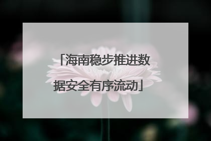 海南稳步推进数据安全有序流动