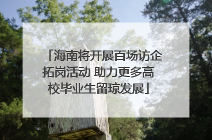 海南将开展百场访企拓岗活动 助力更多高校毕业生留琼发展