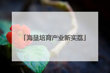 海垦培育产业新实荔