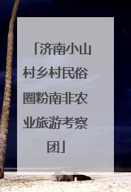 济南小山村乡村民俗圈粉南非农业旅游考察团