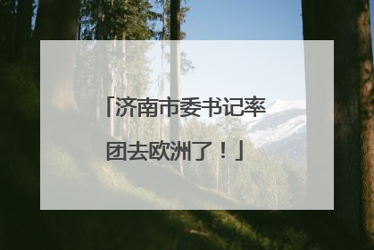 济南市委书记率团去欧洲了！