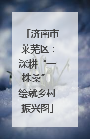 济南市莱芜区：深耕“一株桑” 绘就乡村振兴图