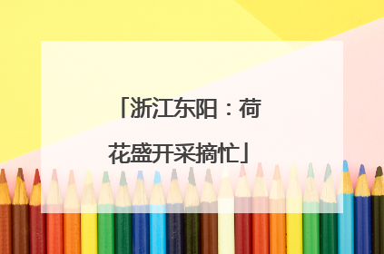 浙江东阳：荷花盛开采摘忙